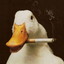 Duck_E.