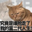 她是诺曼底登陆炸黑的
