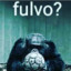 ☠️fulvo?☠