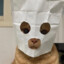 MrSmallCat