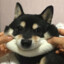 阿里嘎多